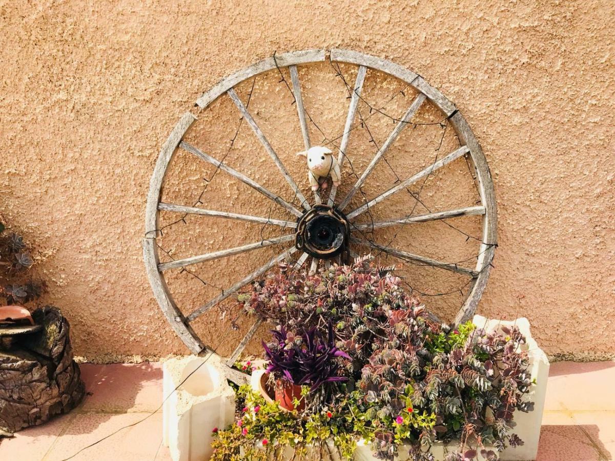 Casa Fletch Bed & Breakfast El Salado Dış mekan fotoğraf